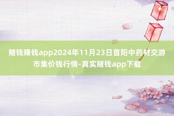 赌钱赚钱app2024年11月23日首阳中药材交游市集价钱行情-真实赌钱app下载