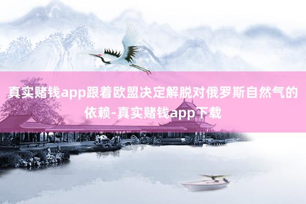 真实赌钱app跟着欧盟决定解脱对俄罗斯自然气的依赖-真实赌钱app下载