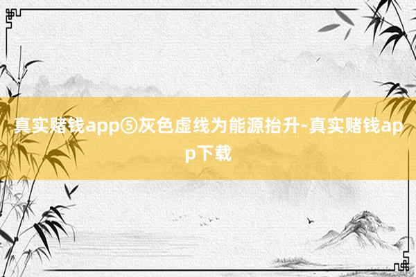 真实赌钱app⑤灰色虚线为能源抬升-真实赌钱app下载