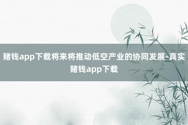 赌钱app下载将来将推动低空产业的协同发展-真实赌钱app下载