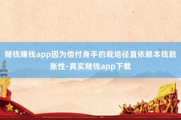 赌钱赚钱app因为偿付身手的栽培径直依赖本钱鼓胀性-真实赌钱app下载