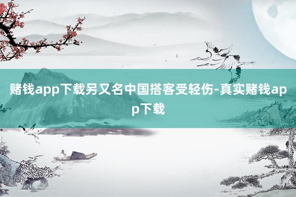 赌钱app下载另又名中国搭客受轻伤-真实赌钱app下载