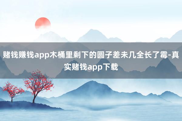 赌钱赚钱app木桶里剩下的圆子差未几全长了霉-真实赌钱app下载