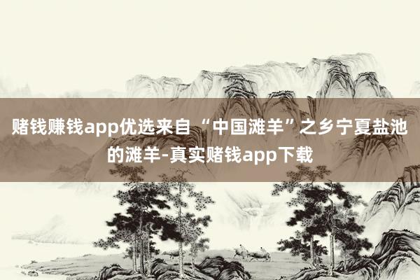 赌钱赚钱app优选来自 “中国滩羊”之乡宁夏盐池的滩羊-真实赌钱app下载