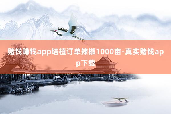 赌钱赚钱app培植订单辣椒1000亩-真实赌钱app下载