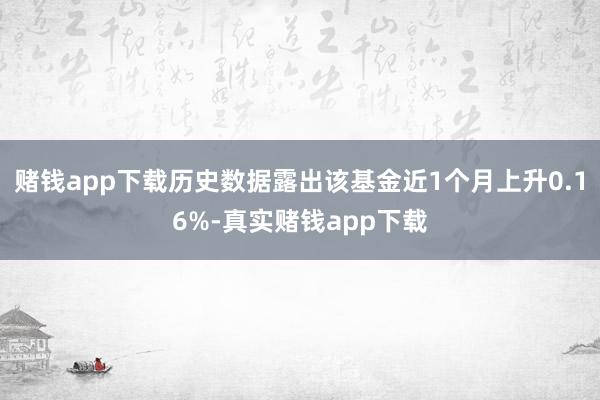 赌钱app下载历史数据露出该基金近1个月上升0.16%-真实赌钱app下载