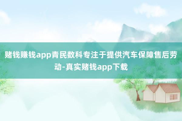 赌钱赚钱app青民数科专注于提供汽车保障售后劳动-真实赌钱app下载