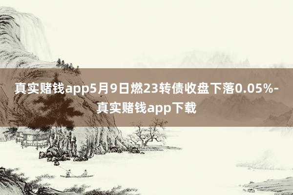 真实赌钱app5月9日燃23转债收盘下落0.05%-真实赌钱app下载