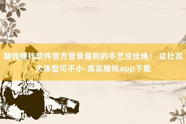 赌钱赚钱软件官方登录遛狗的手艺没拴绳！ 这杜宾犬体型可不小-真实赌钱app下载