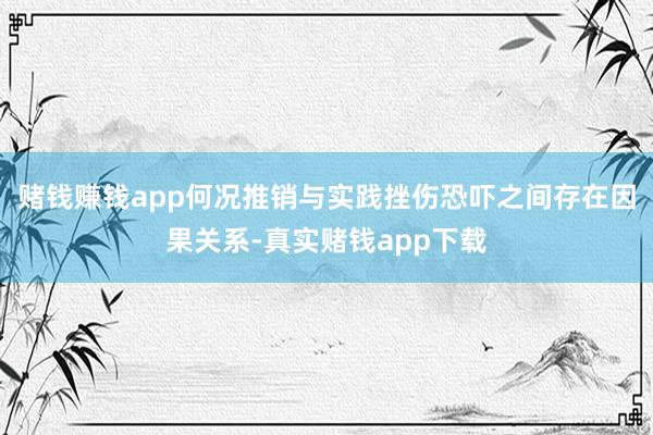 赌钱赚钱app何况推销与实践挫伤恐吓之间存在因果关系-真实赌钱app下载